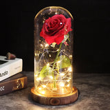 Eternal Rose the Beast Rose for Decor,Creative , Valentine's Day , Mother's Gift